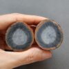 Zhanguo Red Agate Pair Stone (unpolished) ZR020
