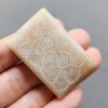 20260503_090745 Fossilized Coral C1249