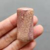 Fossilized Coral C1250