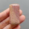 Fossilized Coral C1250