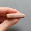 Fossilized Coral C1250