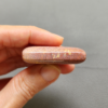 Fossilized Coral C1250
