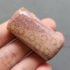 Fossilized Coral C1250