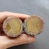 縮圖 Zhanguo Red Agate Pair Stone (unpolished) ZR021
