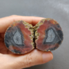Zhanguo Red Agate Pair Stone (unpolished) ZR022