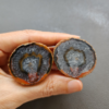 Zhanguo Red Agate Pair Stone ZR018