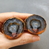Zhanguo Red Agate Pair Stone ZR018