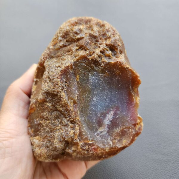20260503_081745 Fossilized Coral Stone C1230