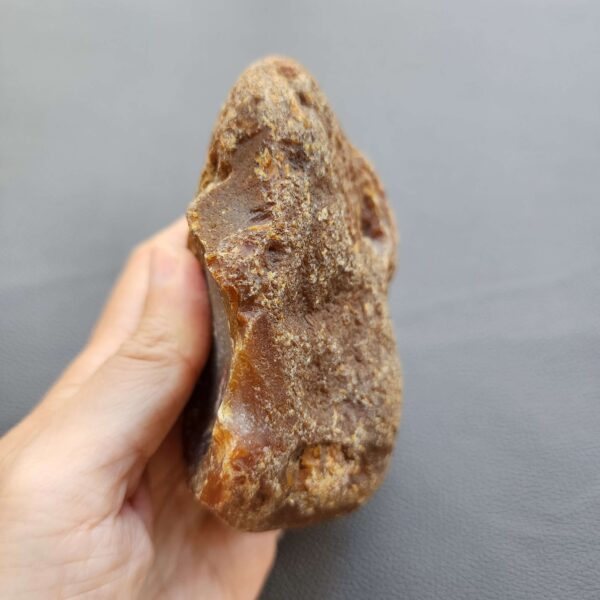 20260503_081749 Fossilized Coral Stone C1230