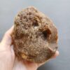 20260503_081753 Fossilized Coral Stone C1230