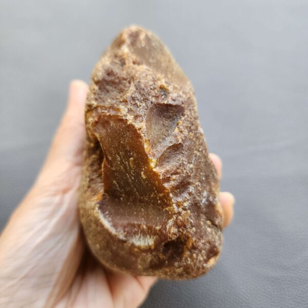 20260503_081757 Fossilized Coral Stone C1230