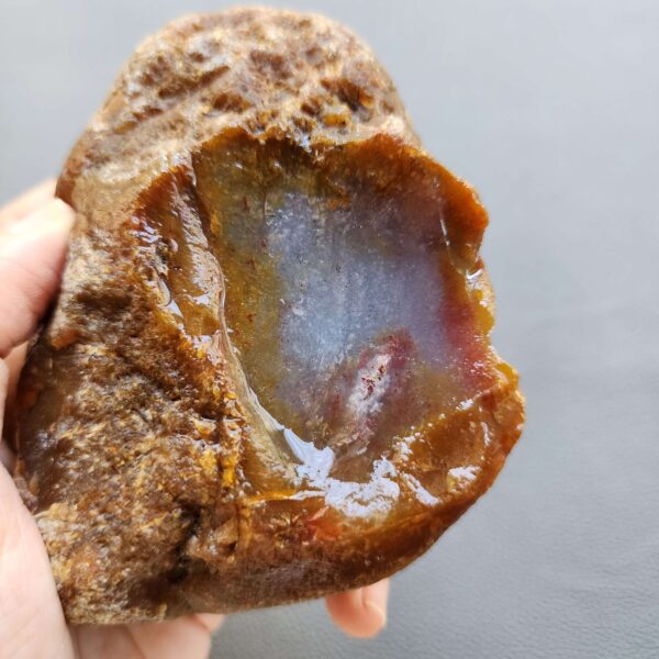 20260503_081916 Fossilized Coral Stone C1230