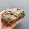 20260503_082241 Fossilized Coral Stone C1232