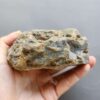 20260503_082253 Fossilized Coral Stone C1232