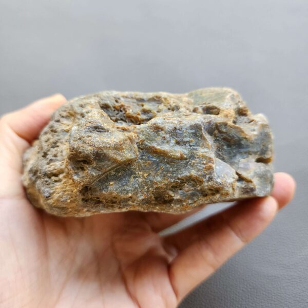 20260503_082253 Fossilized Coral Stone C1232