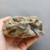 20260503_082323 Fossilized Coral Stone C1232