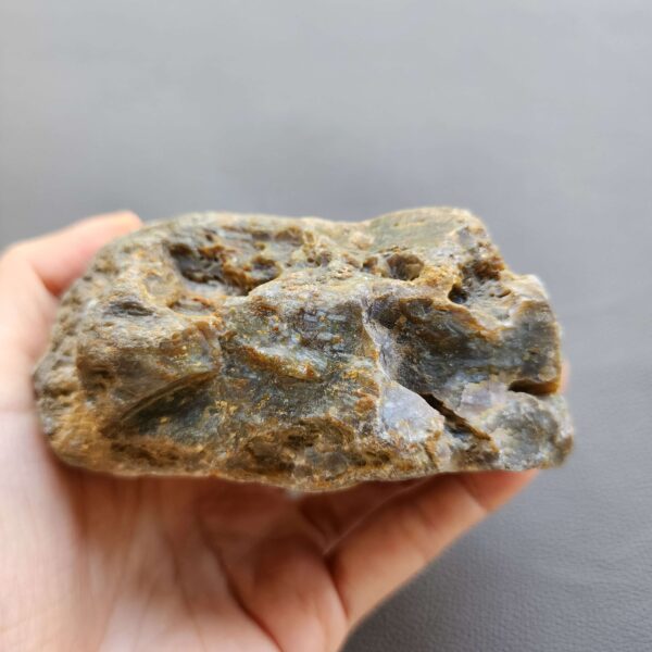 20260503_082323 Fossilized Coral Stone C1232