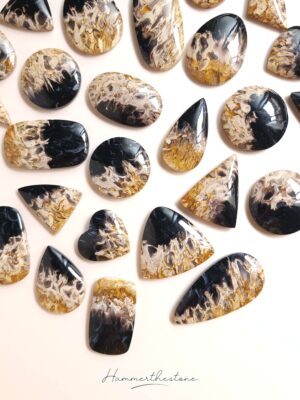 Palm Root Stone