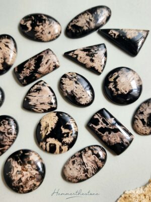 Palm Root Stone #2