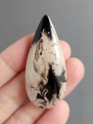 Palm Root Stone P11
