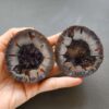 Zhanguo Red Agate Pair Stone (unpolished) ZR033