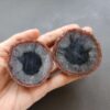 Zhanguo Red Agate Pair Stone (unpolished) ZR049