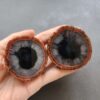 Zhanguo Red Agate Pair Stone (unpolished) ZR049