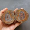 Zhanguo Red Agate Pair Stone (unpolished) ZR024