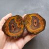 Zhanguo Red Agate Pair Stone (unpolished) ZR024