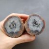 20260426_120842 Zhanguo Red Agate Pair Stone (unpolished) ZR048