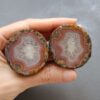 20260426_121400 Zhanguo Red Agate Pair Stone (unpolished) ZR039