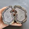 Zhanguo Red Agate Pair Stone (unpolished) ZR036