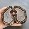 Zhanguo Red Agate Pair Stone (unpolished) ZR036