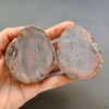 Zhanguo Red Agate Pair Stone (unpolished) ZR041