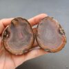Zhanguo Red Agate Pair Stone (unpolished) ZR041