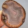 Zhanguo Red Agate Pair Stone (unpolished) ZR041