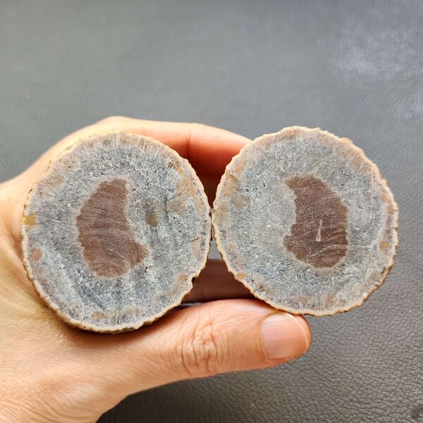 20260426_145826 Zhanguo Red Agate Pair Stone (unpolished) ZR047