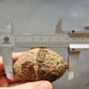 20260426_145932 Zhanguo Red Agate Pair Stone (unpolished) ZR047