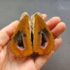 Zhanguo Red Agate Pair Stone (unpolished) ZR025