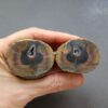 Zhanguo Red Agate Pair Stone (unpolished) ZR044