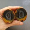 20260426_151145 Zhanguo Red Agate Pair Stone (unpolished) ZR030