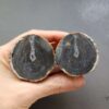 Zhanguo Red Agate Pair Stone (unpolished) ZR038