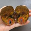 20260426_151721 Zhanguo Red Agate Pair Stone (unpolished) ZR035