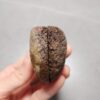 20260622_171142 Zhanguo Red Agate Pair Stone (unpolished) ZR031