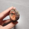 20260622_171153 Zhanguo Red Agate Pair Stone (unpolished) ZR031