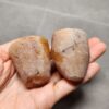 Zhanguo Red Agate Pair Stone (unpolished) ZR042