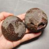 Zhanguo Red Agate Pair Stone (unpolished) ZR033