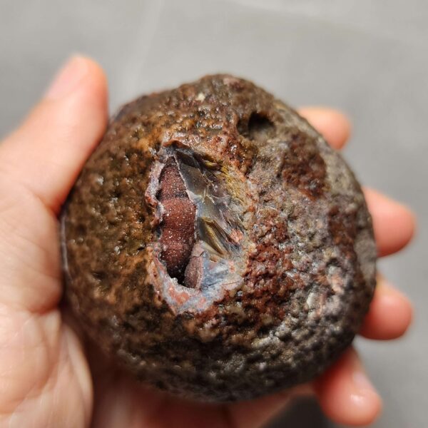 Zhanguo Red Agate Pair Stone (unpolished) ZR033