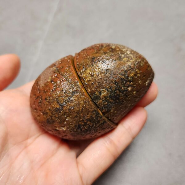 20260622_171906 Zhanguo Red Agate Pair Stone (unpolished) ZR043