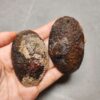 Zhanguo Red Agate Pair Stone (unpolished) ZR045